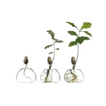 Drei kleine Pflanzen in transparenten Glaskugeln, die das Wachstum und die Entwicklung von Wurzeln und Blättern zeigen, symbolisieren wissenschaftliche Experimente und Naturforschung.