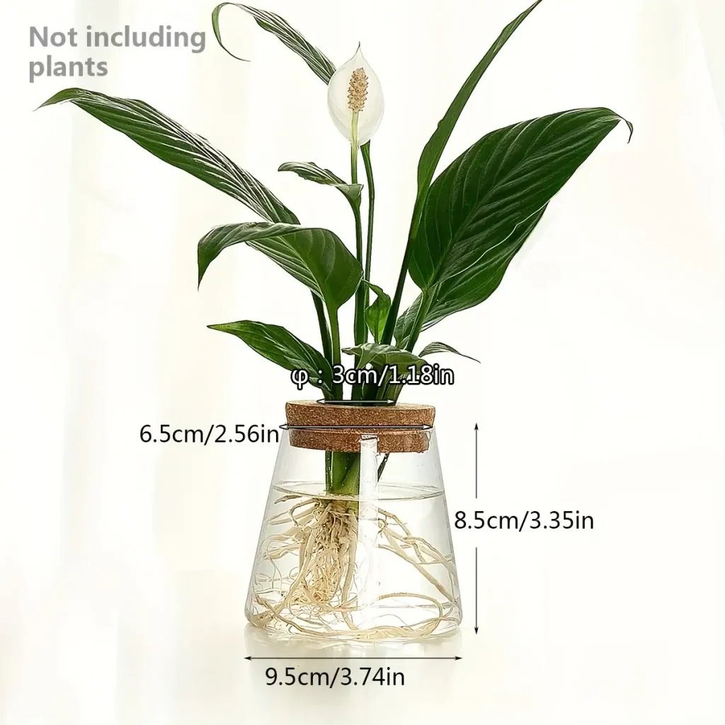 Blumen im Glas mit Wasser, dekoratives Pflanzenarrangement, Zimmerpflanze, moderne Inneneinrichtung, nachhaltige Dekoration, Natur, grünes Blatt, Wasserpflanze, stilvoll, umweltfreundlich.
