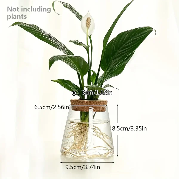 Blumen im Glas mit Wasser, dekoratives Pflanzenarrangement, Zimmerpflanze, moderne Inneneinrichtung, nachhaltige Dekoration, Natur, grünes Blatt, Wasserpflanze, stilvoll, umweltfreundlich.