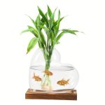 Dekoratives Aquarium mit grüner Pflanze und drei Goldfischen in einer transparenten Glasvase auf Holzsockel.