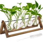 Dekorative Pflanzen in wissenschaftlichen Flaschen auf Holzständer, ideal für moderne Wissenschafts- und Dekorationsliebhaber.