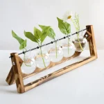 Dekoratives wissenschaftliches Glas-Arrangement mit grünen Pflanzen und weißen Blumen in einer Holzhalterung, ideal für moderne Raumdekorationen.