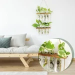 Dekorative Blumenwand mit Glasröhren und Holzrahmen, ideal für moderne Inneneinrichtung und Pflanzenpräsentation.