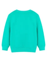 Unisex-Türkis-Sweatshirt, bequem und modisch, perfekt für einen lässigen oder wissenschaftlichen Look, ideal für den Laden und die Wissenschaftsdekoration.