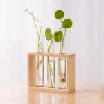 Dekorative Pflanzen in drei wissenschaftlichen Gläsern, präsentiert in einem eleganten Holzrahmen, ideal für wissenschaftliche Dekorationen und moderne Inneneinrichtung.