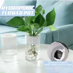 Hydroponischer Blumen Topf mit Wasserpflanzen in einem transparenten Glasbehälter, ideal für moderne Inneneinrichtung und Pflanzenpflege.