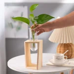 Frische grüne Pflanze in einem Glas Wasser, präsentiert in einem modernen Holzrahmen auf einem weißen Tisch.