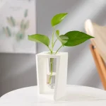 Modernes Pflanzenarrangement in einem minimalistischen weißen Vase, ideal für wissenschaftliche Dekorationen und moderne Inneneinrichtung.