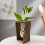 Modernes wissenschaftliches Dekor mit einer grünen Pflanze in einem einzigartigen Holz- und Glas-Design, ideal für stilvolle Raumgestaltung.