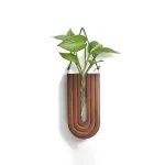 Modernes Wanddekor mit grüner Pflanze in Holzhalter, stilvoll und naturverbunden. Perfekt für Wohnräume, um einen Hauch von Natur und Wissenschaft in die Dekoration zu integrieren.