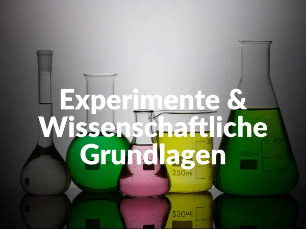 Verschiedene Laborgläser und Reagenzgläser mit bunten Flüssigkeiten auf einem reflektierenden schwarzen Untergrund, symbolisieren wissenschaftliche Experimente und Grundlagen.